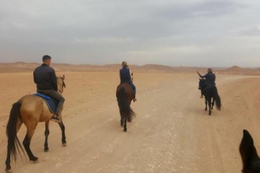 Promenade à Cheval dans l’Atlas