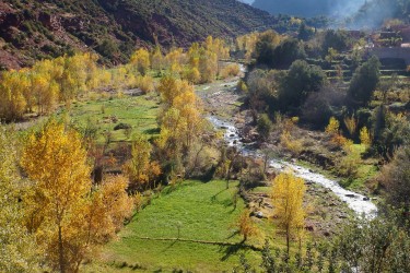 Day Trip to The Three Valleys