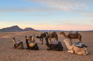 Excursión de 2 días al Desierto de Zagora