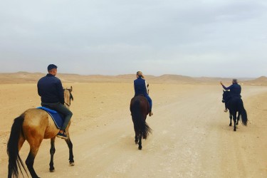 Day-Pass aux Montagnes de l'Atlas