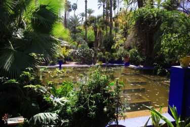 Marrakech Gardens Private Tour