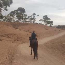 Promenade à Cheval dans l’Atlas