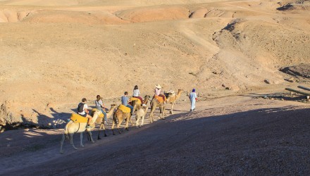 Excursion Quad & Chameaux au Désert d'Agafay