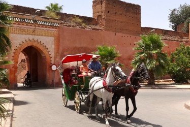 Promenade en Calèche à Marrakech