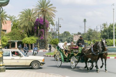 Promenade en Calèche à Marrakech